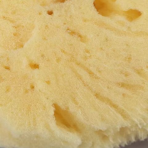 Special Texture Production Cle - Eco Sponge 评论和价格