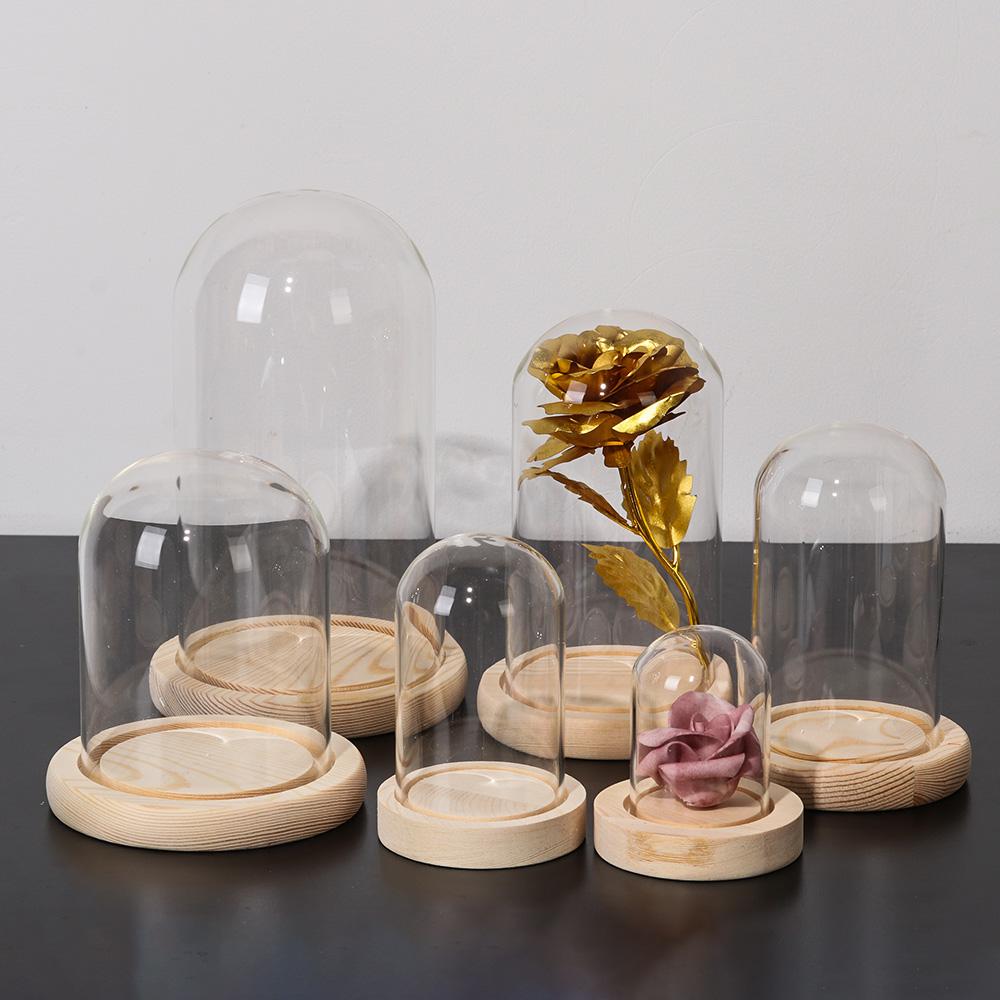 Fairy Lights Plants Transparen - Reusable Bottle 评论和价格