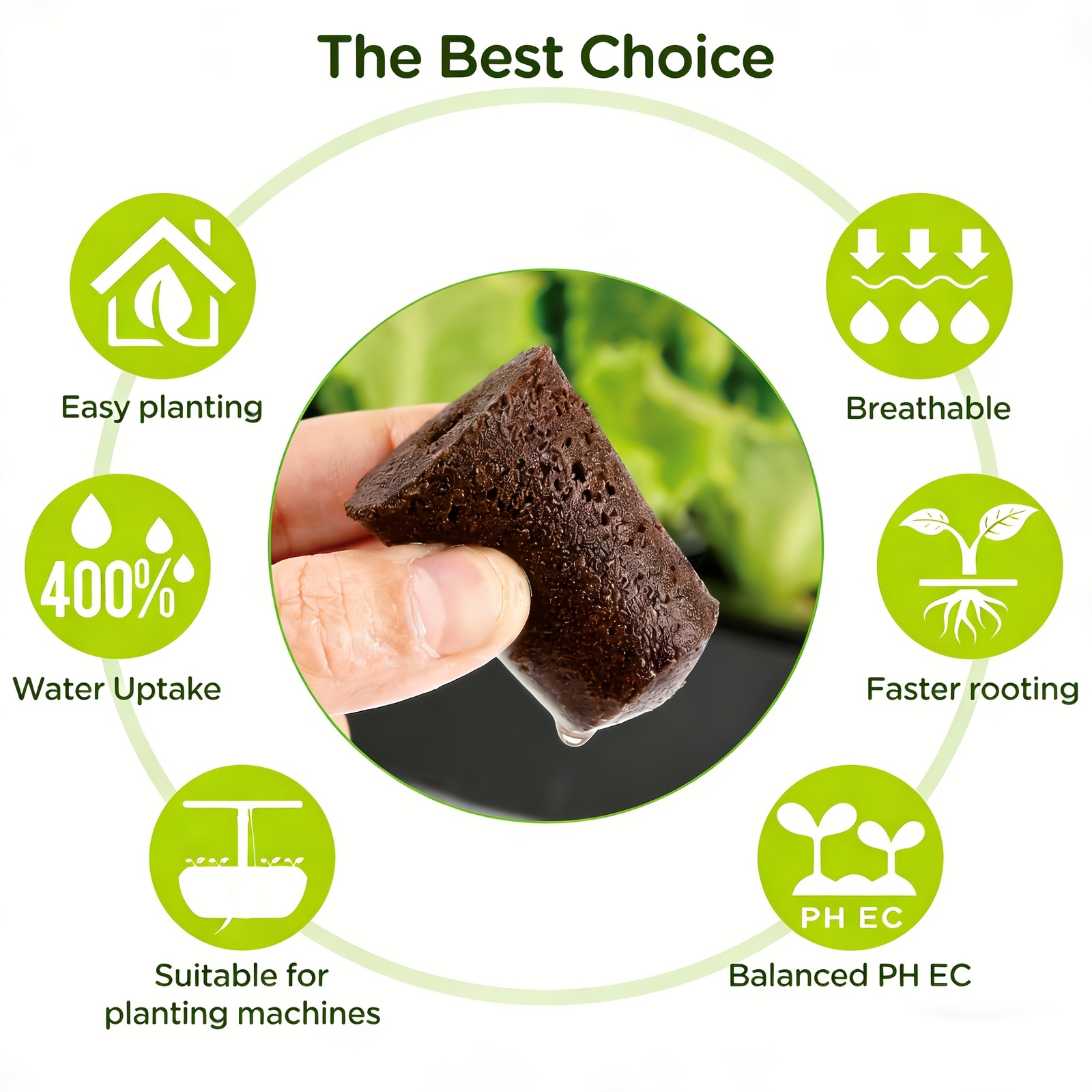 Garden Covering Grow Sponge St - Eco Sponge 评论和价格